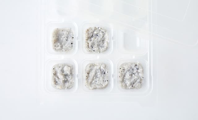 しらすペーストを入れた製氷皿の写真