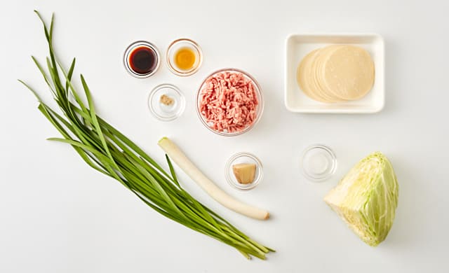 餃子の材料の写真