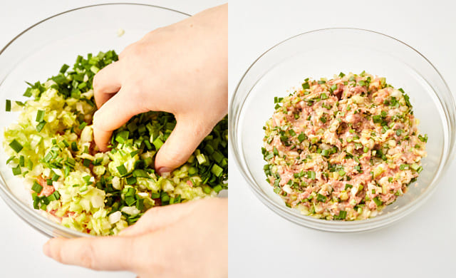 餃子のあんの写真