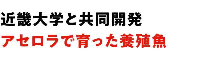 近畿大学と共同開発 アセロラで育った養殖魚
