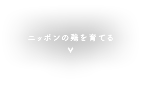 ニッポンの鶏を育てる