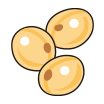 大豆